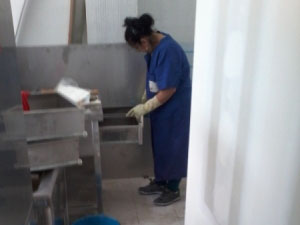Limpieza cocina mesón Baiona, Rotil